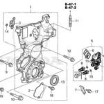 Timing Chain Case