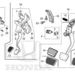 Accelerator Pedal Module